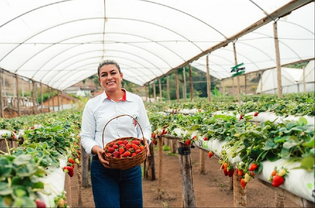 Orgulho de Ser das Montanhas Capixabas: uma campanha de valorização regional